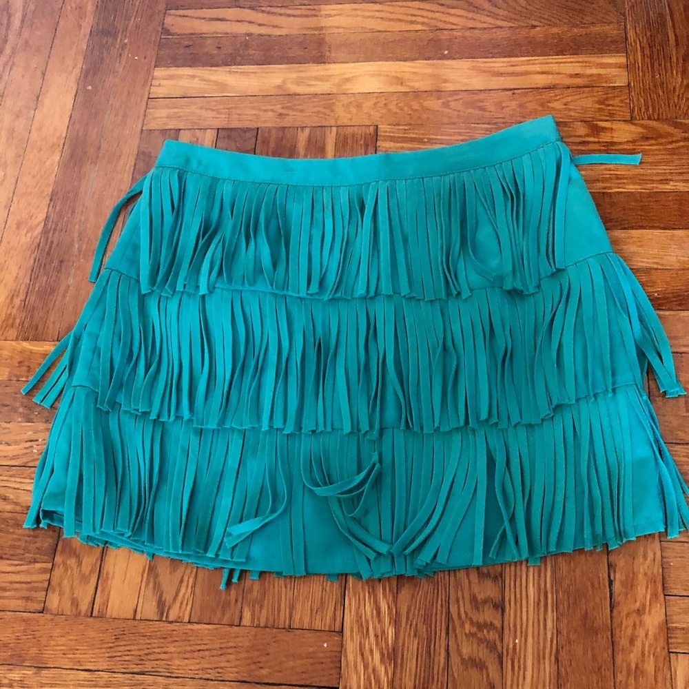 Zara Min skirt